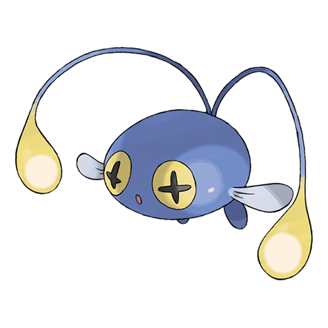 chinchou
