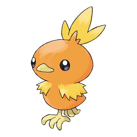 torchic