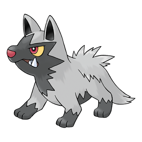 poochyena