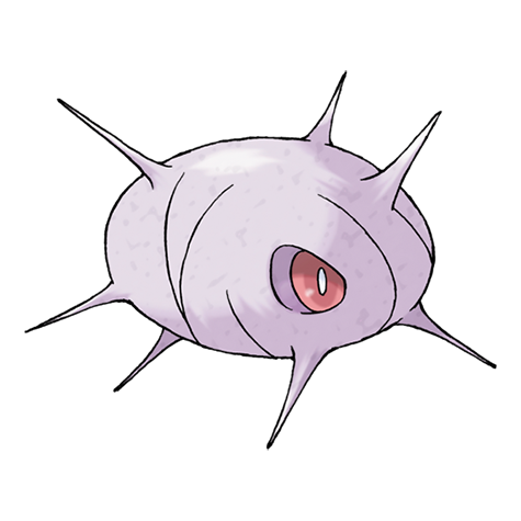 cascoon