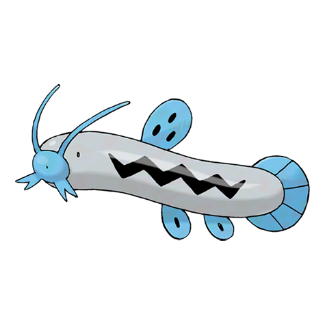barboach