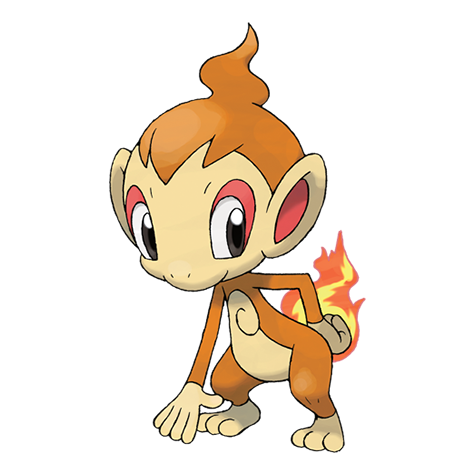 chimchar