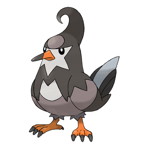 staravia