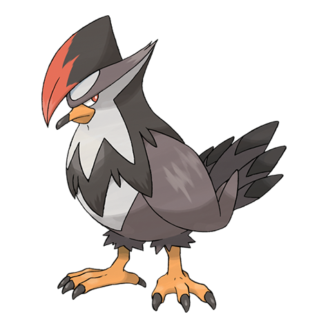 staraptor