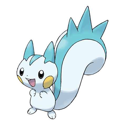 pachirisu