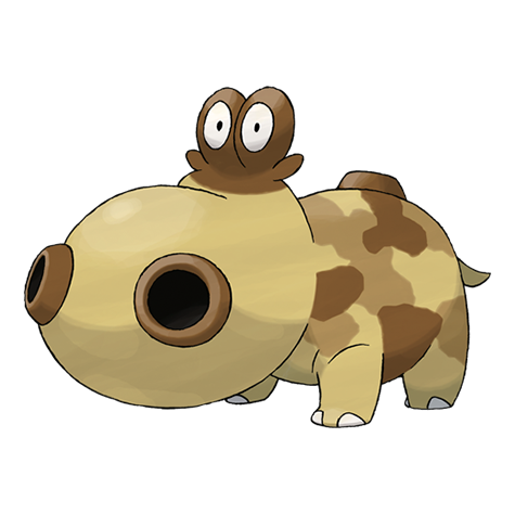 hippopotas