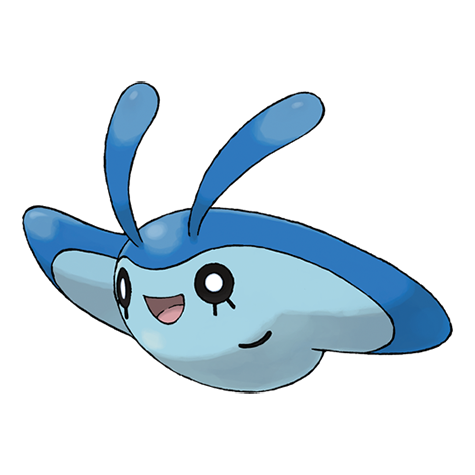 mantyke