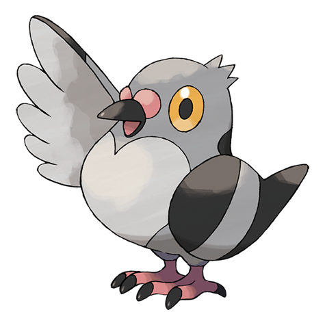pidove
