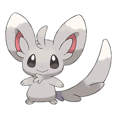 minccino