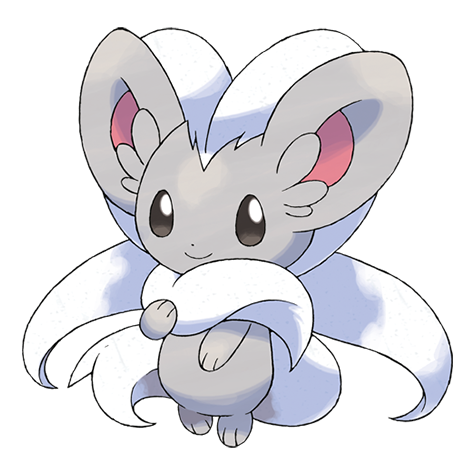 cinccino