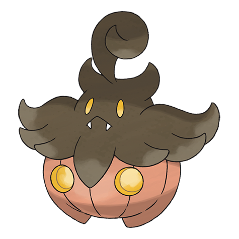 pumpkaboo-average