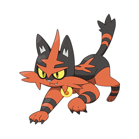torracat